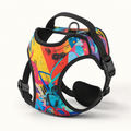 Romptail Wallmark no-pull harness in printed nylon with a top handle